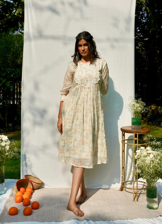 Light Brown Printed Mul Dress